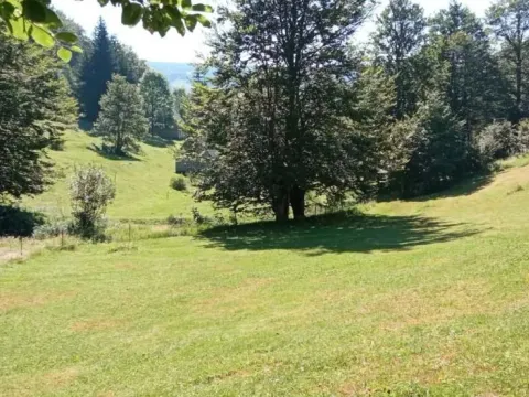 Sale, land lot, 99100m², Donja Bukovica, Šavnik - image 17