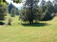 Sale, land lot, 99100m², Donja Bukovica, Šavnik - image 17