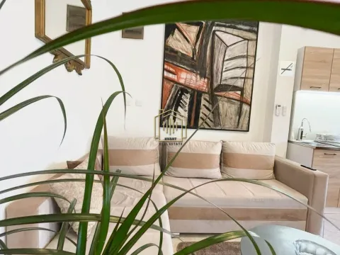Rent, apartment, 35m², Stara Varoš, Podgorica - image 3