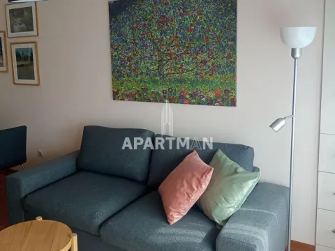 Rent, apartment, 25m², Vukov Spomenik, Zvezdara Sve Podlokacije - image 5