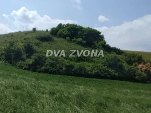 Sale, land lot, 5200m², Čortanovci, Inđija - image 4