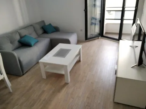 Izdavanje, jednosoban stan, 48m², Dalmatinska ulica, Podgorica - image 11