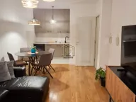 Izdavanje, jednosoban stan, 50m², Central Point, Podgorica - image 7