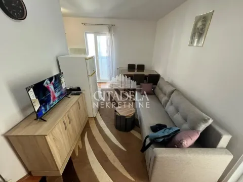 Sale, one bedroom apartment, 33m², Kneževac, Beograd - image 2