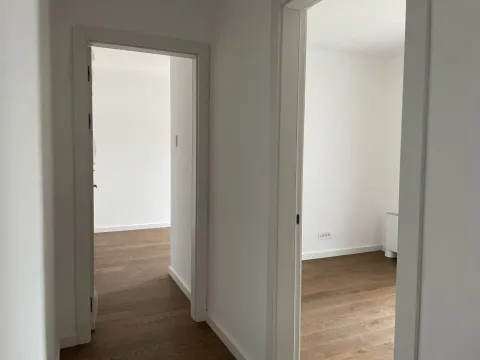 Sale, apartment, 357m², Dušanovac, Voždovac Sve Podlokacije - image 8