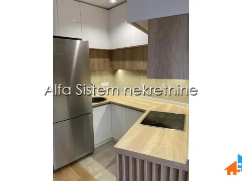 Izdavanje, dvosoban stan, 52m², Južni Bulevar, Vračar Sve Podlokacije - image 8