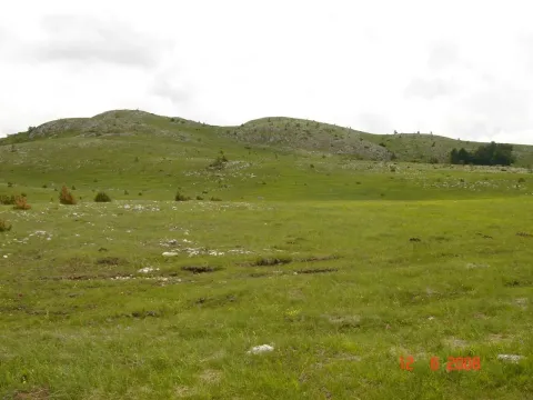 Prodaja, plac, 450000m², Centar, Žabljak - image 16