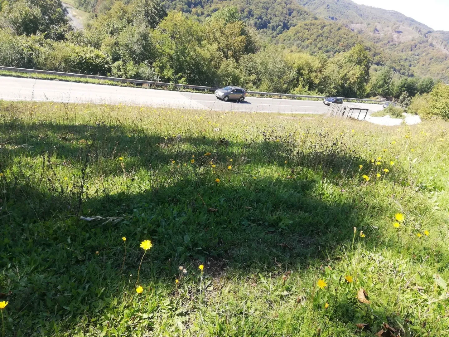 Zeleni plac pored puta sa pogledom na brda.