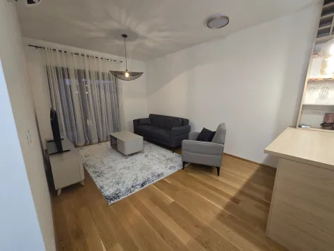 Izdavanje, jednosoban stan, 51m², Zabjelo, Podgorica - image 3