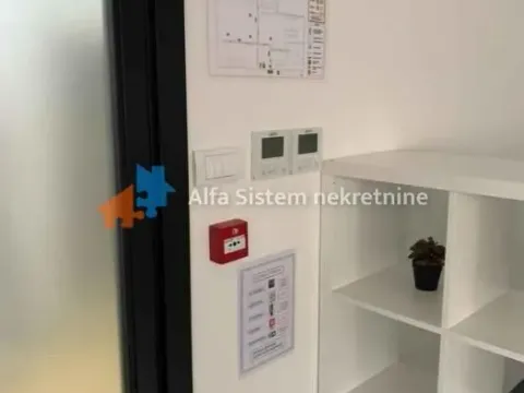 Izdavanje, poslovni prostor, 230m², Novi Beograd Sve Podlokacije, Beograd - image 10