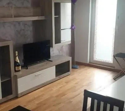 Rent, two bedroom apartment, 48m², Grbavica, Novi Sad Sve Podlokacije - image 4