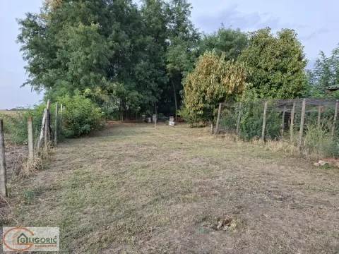 Ograđeno dvorište sa zelenilom i drvećem. - image 4