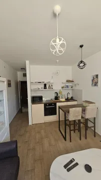 Sale, studio apartment, 20m², Zabjelo, Podgorica - image 3