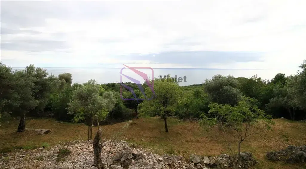 Pogled na more sa placa okruženog zelenilom.