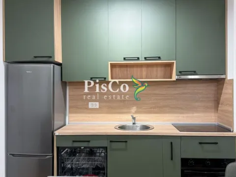 Izdavanje, jednosoban stan, 46m², Zagorič, Podgorica - image 9