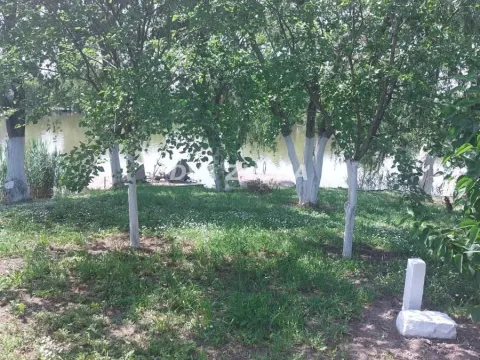 Prodaja, plac, 3500m², Novi Bečej, Zrenjanin - image 5