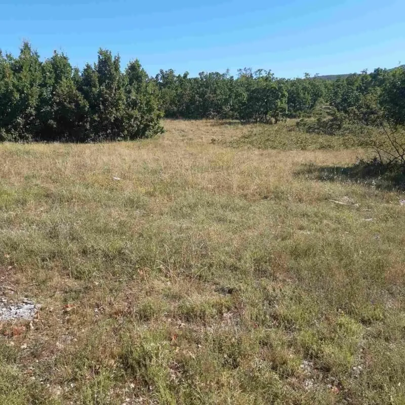 Prodaja, plac, 36000m², Nikšić, Crna Gora