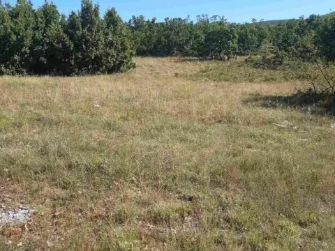 Prodaja, plac, 36000m², Nikšić, Crna Gora - image 5