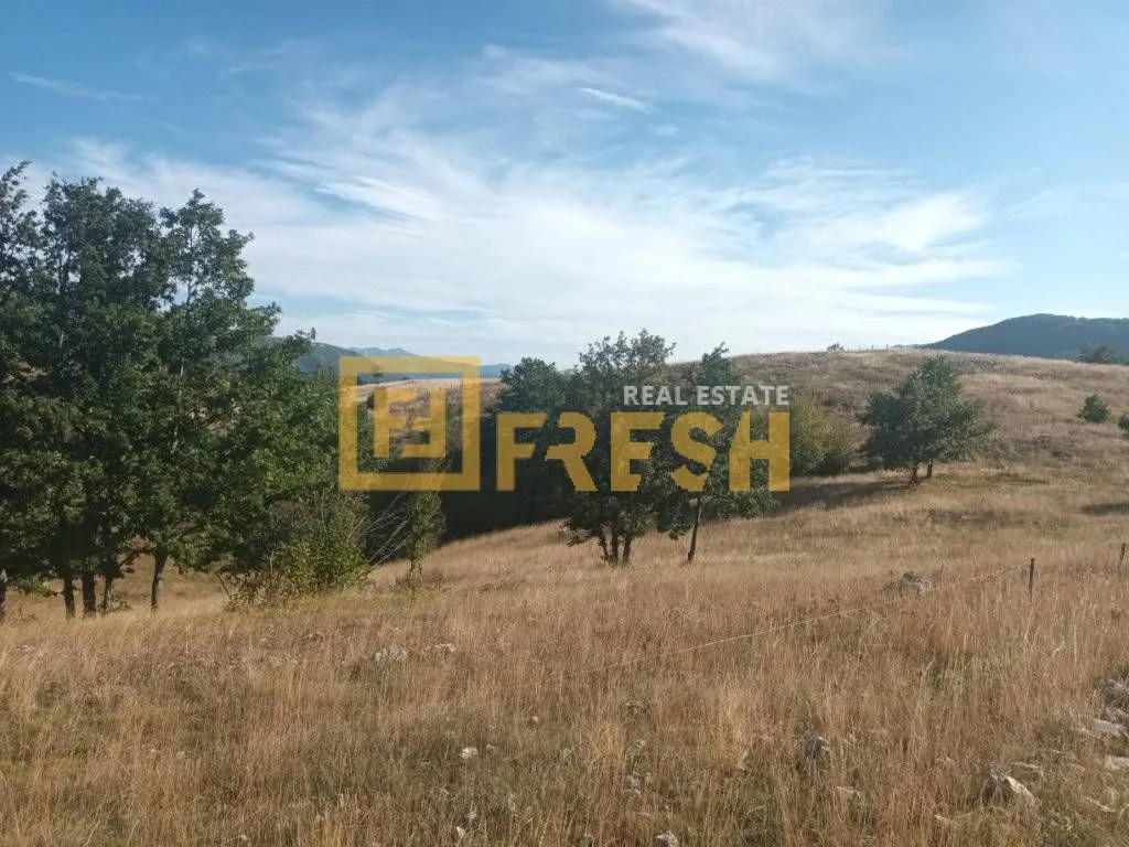 Prodaja, plac, 9000m², Plužine, Crna Gora