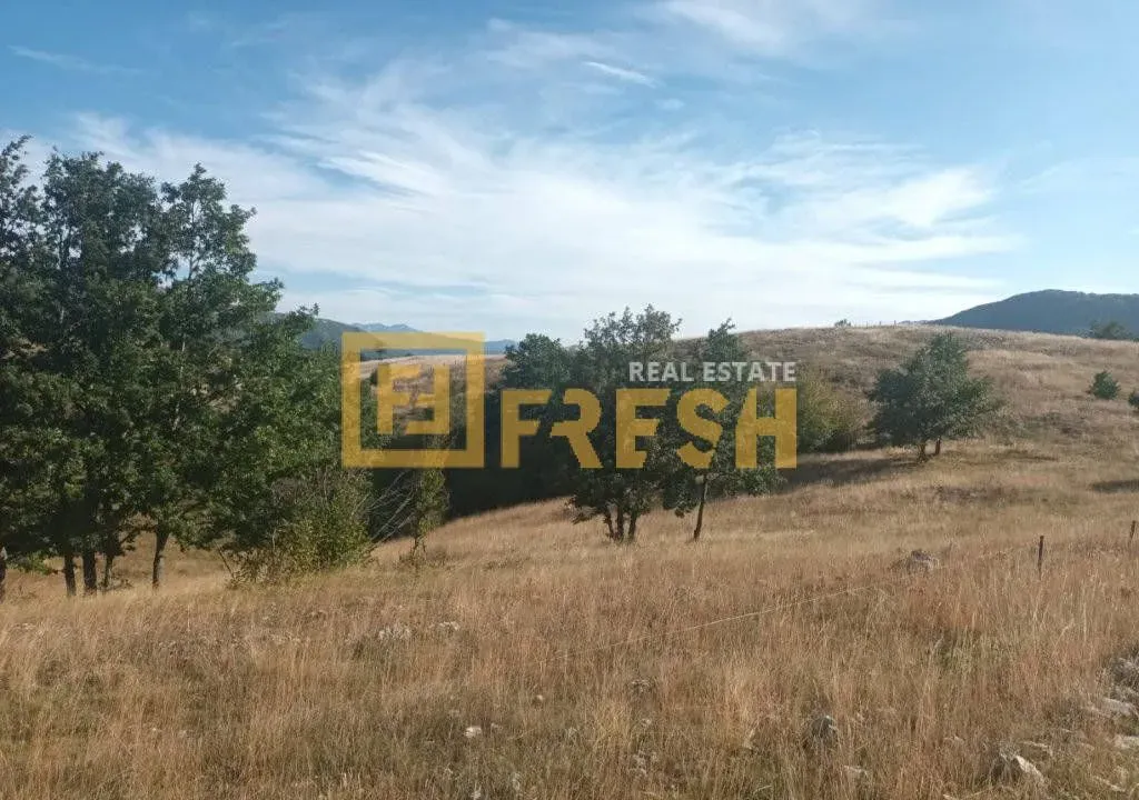 Prodaja, plac, 9000m², Plužine, Crna Gora