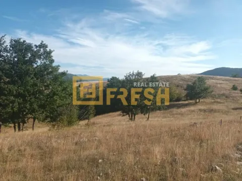 Sale, land lot, 9000m², Plužine, Crna Gora