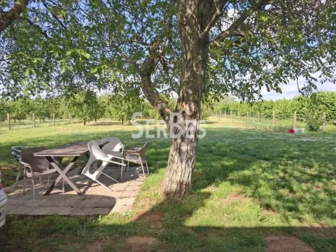 Prodaja, kuća, 45m², Maradik, Inđija - image 19