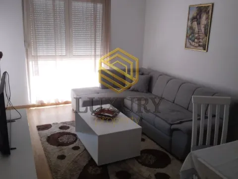 Rent, one bedroom apartment, 46m², Zabjelo, Podgorica - image 1
