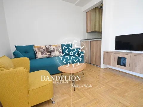 Rent, apartment, 25m², Vezirov Most, Podgorica