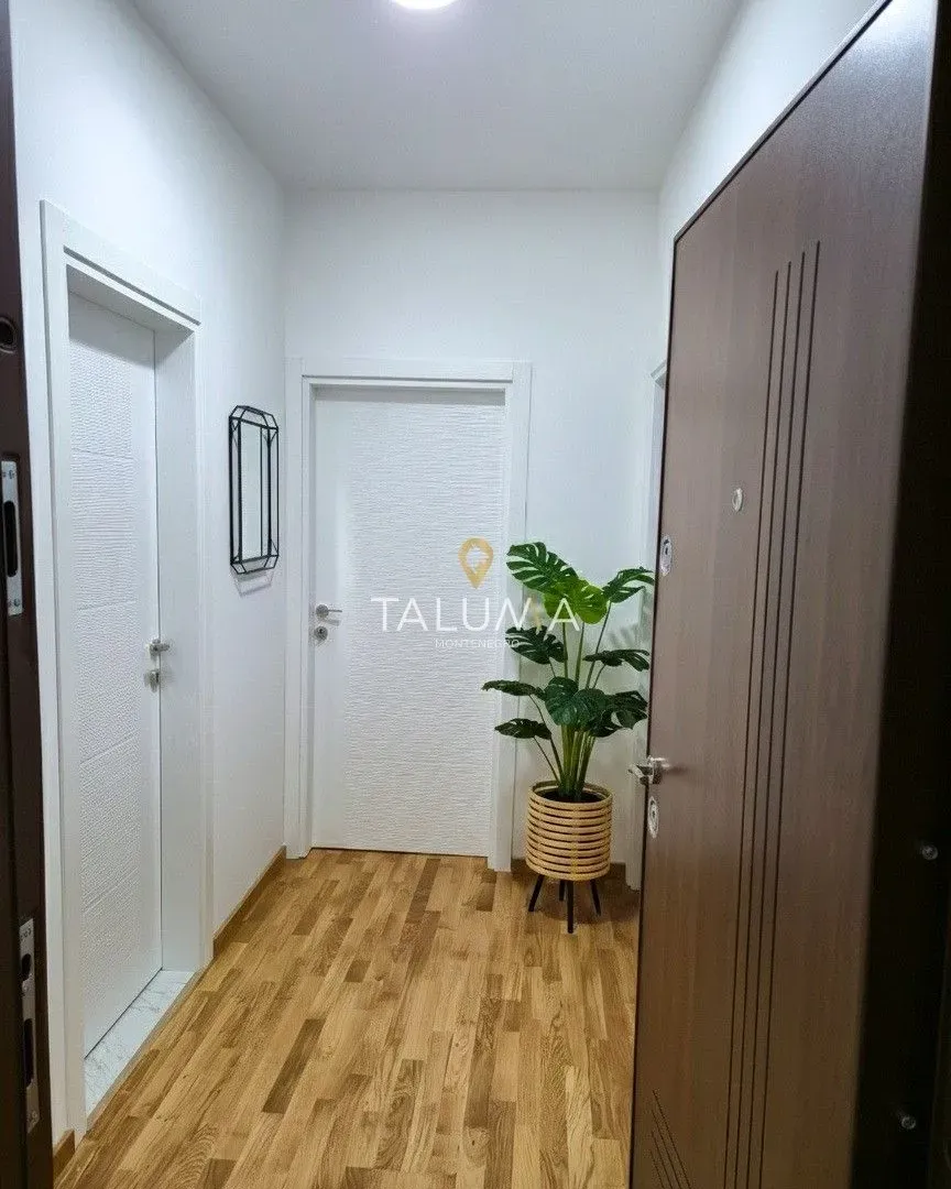 Rent, one bedroom apartment, 47m², Zagorič, Podgorica