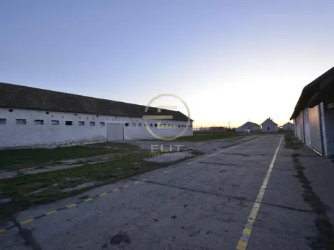 Prodaja, plac, 980m², Vrbas, Novi Sad - image 25