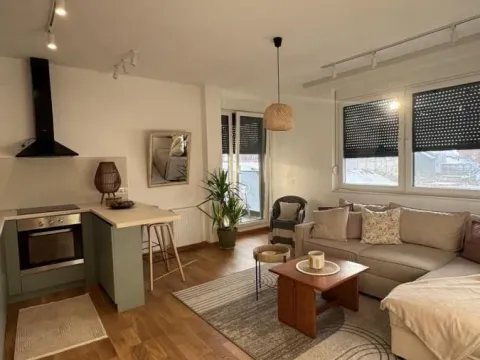 Rent, two bedroom apartment, 43m², Telep, Novi Sad Sve Podlokacije - image 3