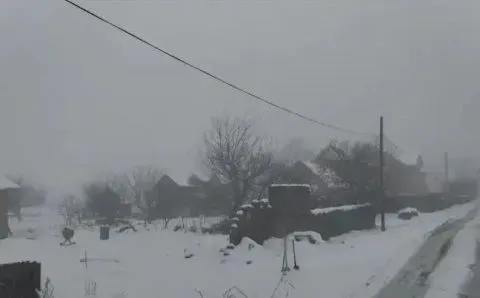 Prodaja, plac, 635m², Borča Sve Podlokacije, Beograd - image 7