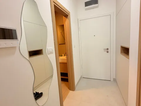 Rent, one bedroom apartment, 40m², Zabjelo, Podgorica - image 5
