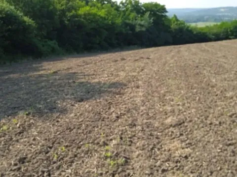 Sale, land lot, 8900m², Velika Plana, Srbija - image 2