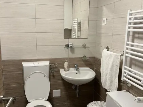 Rent, one bedroom apartment, 37m², Jugovićevo, Novi Sad Sve Podlokacije - image 8