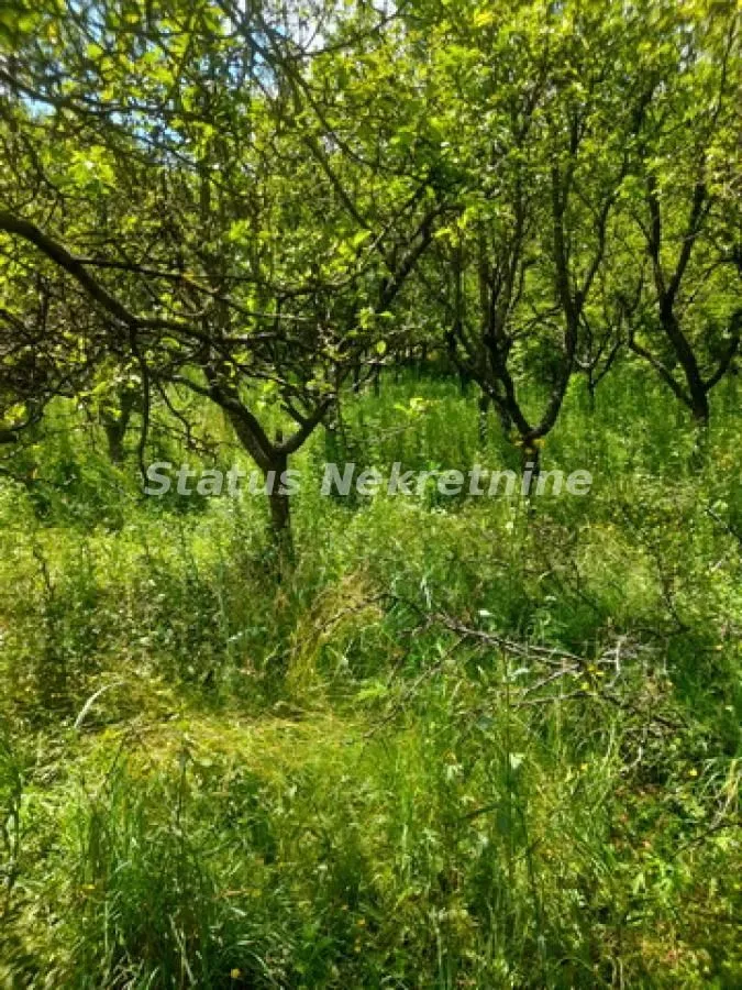 Prodaja, plac, 2100m², Inđija, Srbija