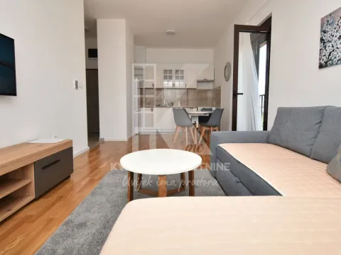 Izdavanje, jednosoban stan, 46m², Zabjelo, Podgorica - image 2