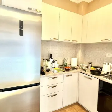 Izdavanje, garsonjera, 30m², Tuški Put, Podgorica - image 10