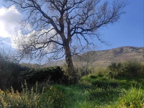 Prodaja, plac, 50000m², Kamenari, Herceg Novi - image 2