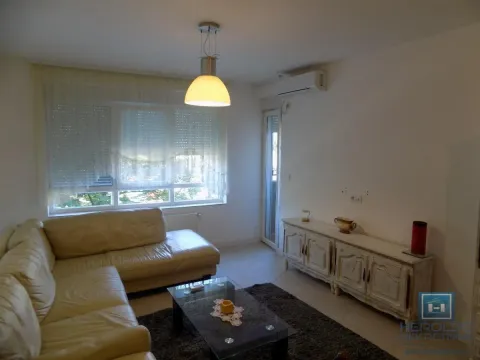 Izdavanje, dvosoban stan, 50m², Centar, Paraćin - image 2