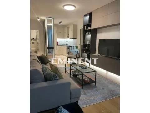 Izdavanje, dvosoban stan, 50m², Južni Bulevar, Vračar Sve Podlokacije - image 4