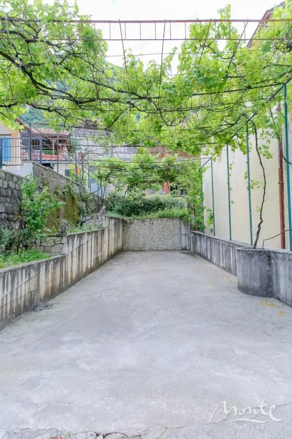 Betonsko dvorište sa nadstrešnicom od vinove loze.