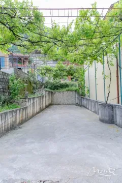 Betonsko dvorište sa nadstrešnicom od vinove loze. - image 43