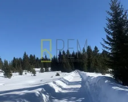 Prodaja, plac, 400m², Žabljak, Crna Gora - image 7