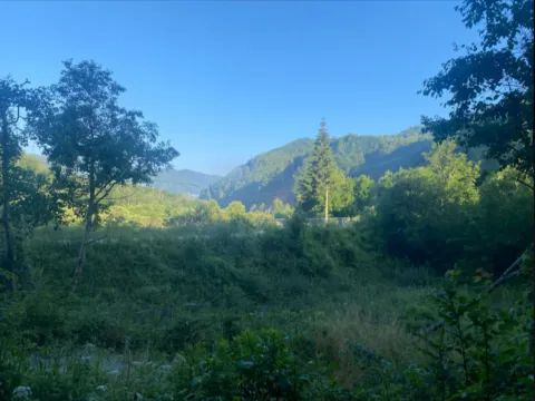 Prodaja, plac, 15550m², Mateševo, Kolašin - image 1