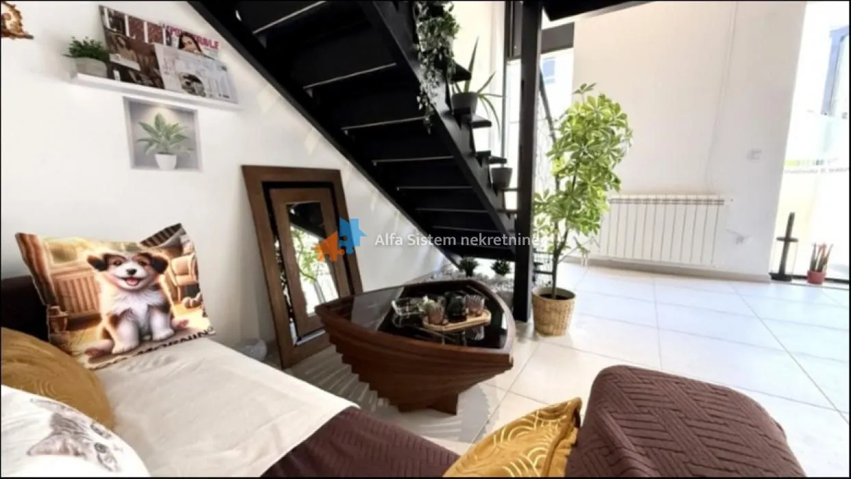 Rent, office space, 62m², Višnjička Banja, Palilula Sve Podlokacije