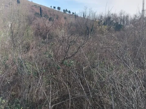 Prodaja, plac, 2400m², Dajbabe, Podgorica - image 8