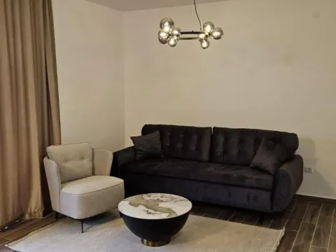 Izdavanje, dvosoban stan, 40m², Sremska Kamenica, Petrovaradin - image 3