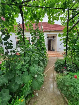Prilazna staza kući kroz dvorište sa bujnim zelenilom i cvijećem. - image 2