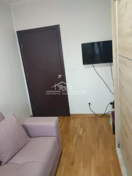 Manja dnevna soba sa kaučem, televizorom i drvenim podom. - image 10